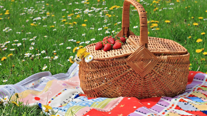 Picnic basket and blanket on green grass in park, nature.